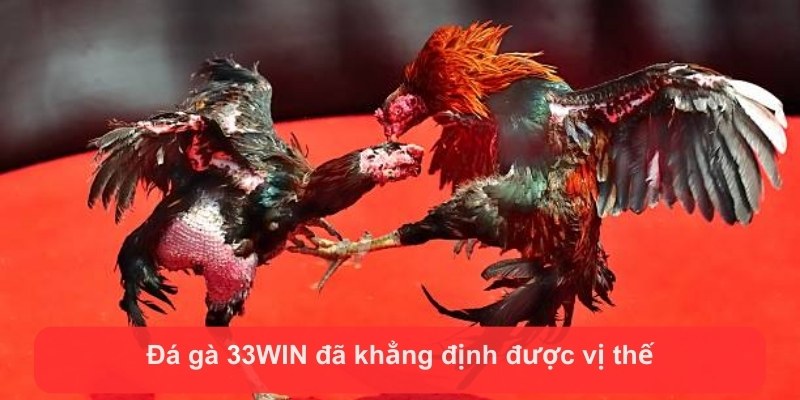 da ga 33win da khang dinh duoc vi the