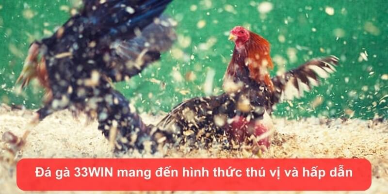 da ga 33win mang den hinh thuc thu vi va hap dan